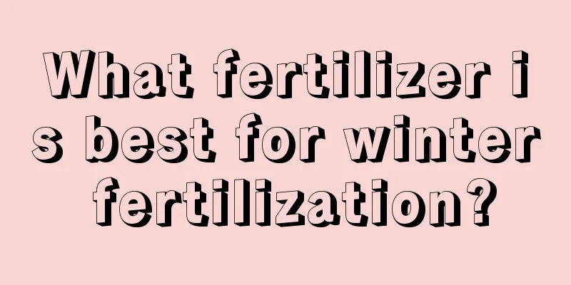 What fertilizer is best for winter fertilization?