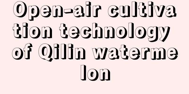 Open-air cultivation technology of Qilin watermelon