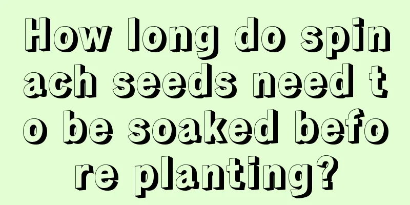 How long do spinach seeds need to be soaked before planting?