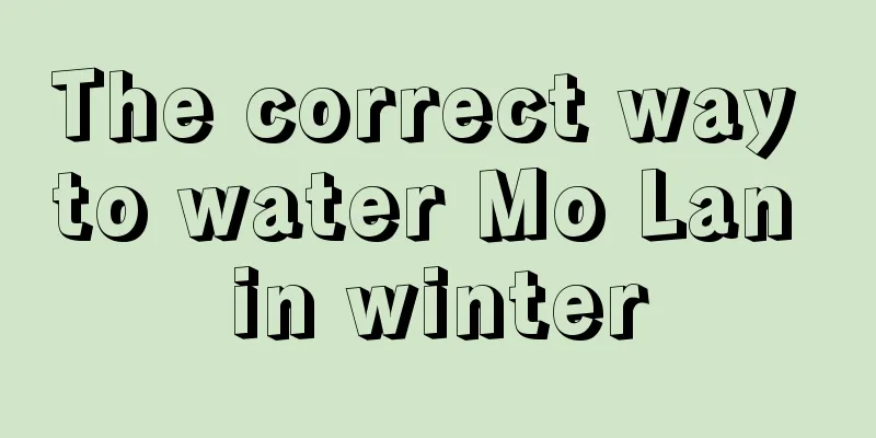 The correct way to water Mo Lan in winter