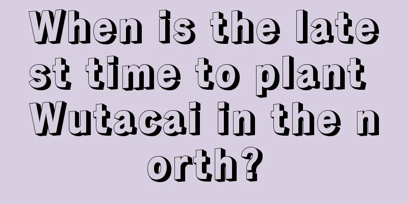 When is the latest time to plant Wutacai in the north?