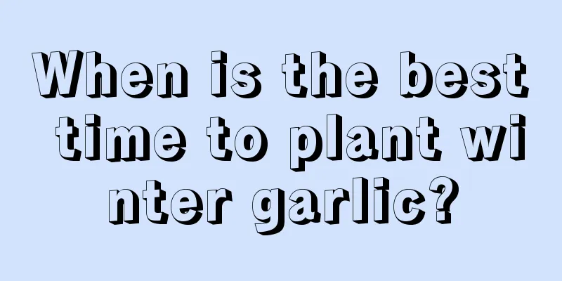 When is the best time to plant winter garlic?