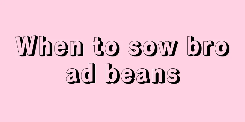 When to sow broad beans