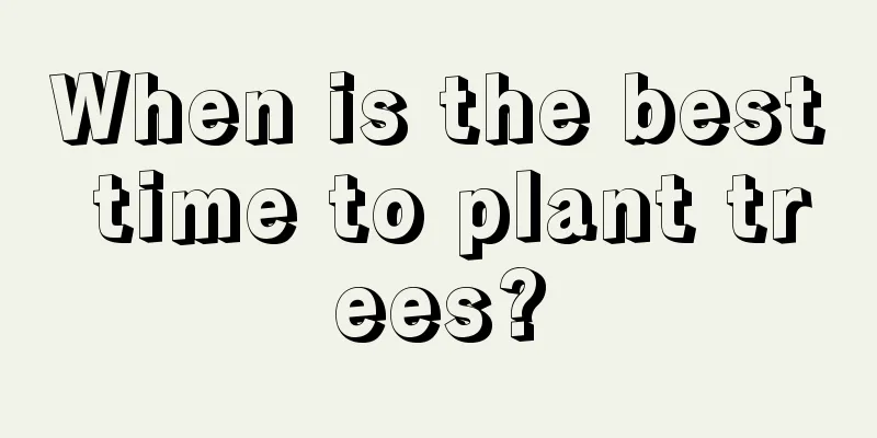 When is the best time to plant trees?