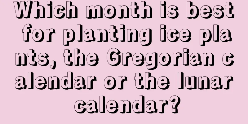 Which month is best for planting ice plants, the Gregorian calendar or the lunar calendar?