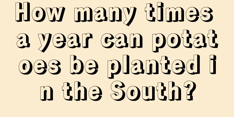 How many times a year can potatoes be planted in the South?