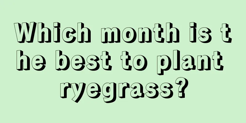 Which month is the best to plant ryegrass?