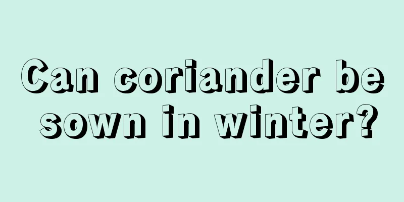 Can coriander be sown in winter?