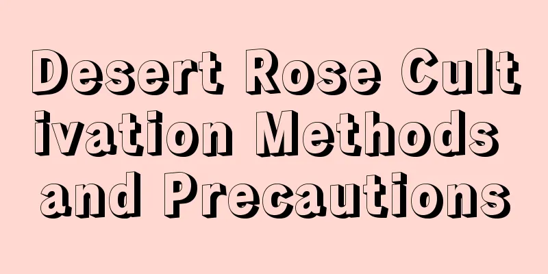 Desert Rose Cultivation Methods and Precautions