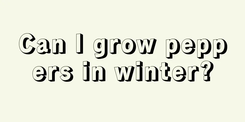 Can I grow peppers in winter?