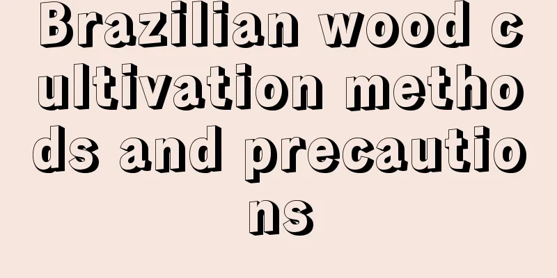 Brazilian wood cultivation methods and precautions