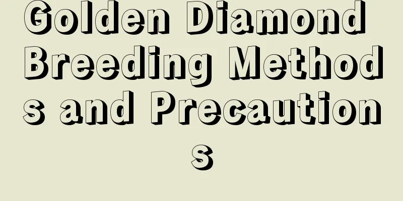 Golden Diamond Breeding Methods and Precautions