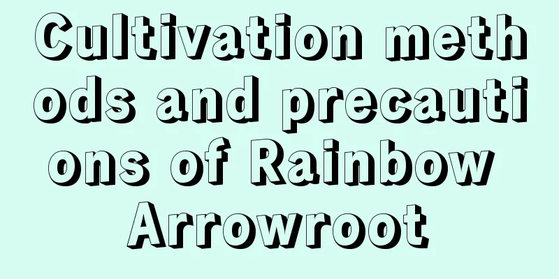 Cultivation methods and precautions of Rainbow Arrowroot