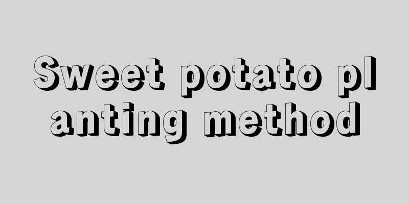 Sweet potato planting method