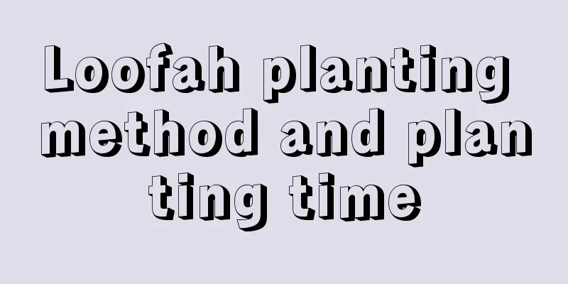 Loofah planting method and planting time