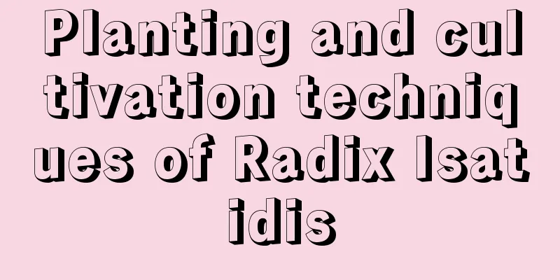 Planting and cultivation techniques of Radix Isatidis