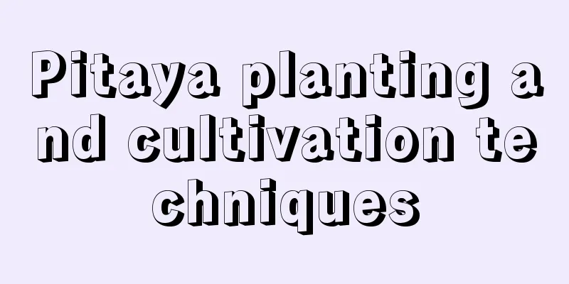 Pitaya planting and cultivation techniques