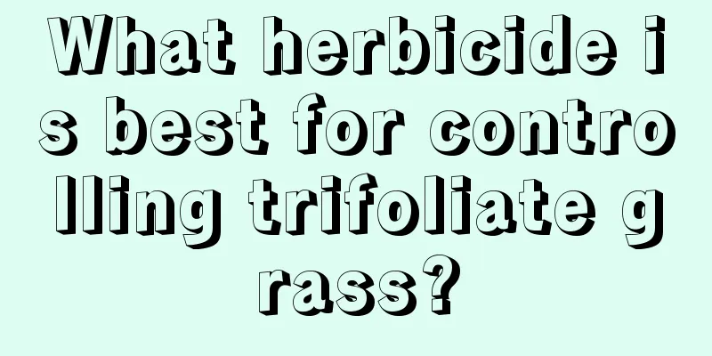 What herbicide is best for controlling trifoliate grass?