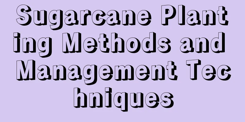 Sugarcane Planting Methods and Management Techniques