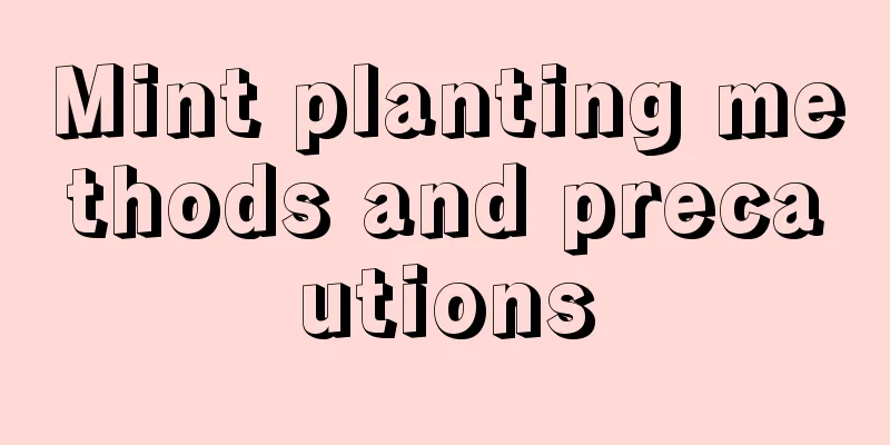 Mint planting methods and precautions