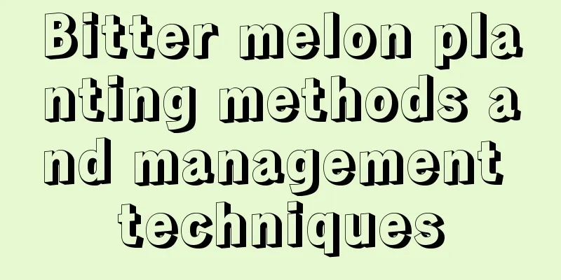 Bitter melon planting methods and management techniques