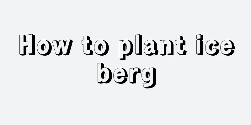 How to plant iceberg