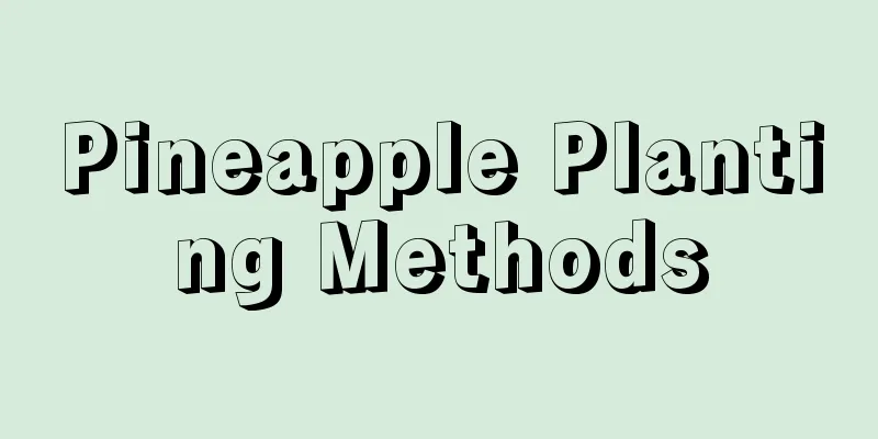 Pineapple Planting Methods