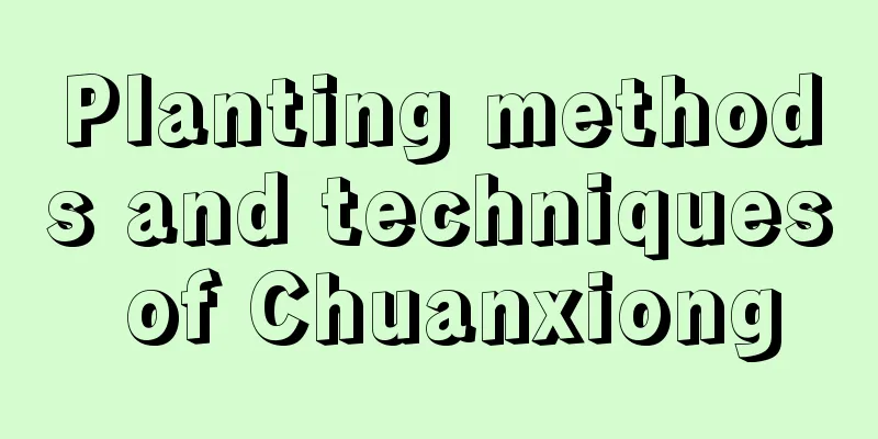 Planting methods and techniques of Chuanxiong