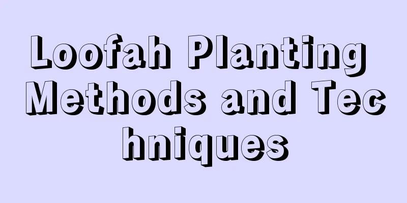 Loofah Planting Methods and Techniques