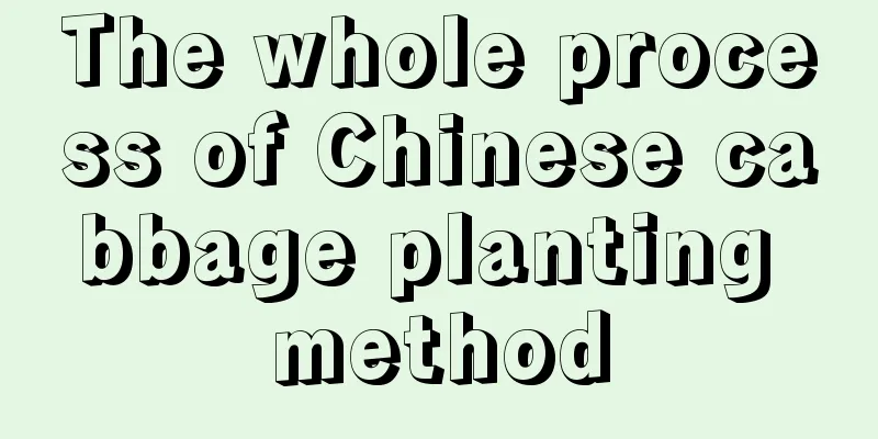 The whole process of Chinese cabbage planting method