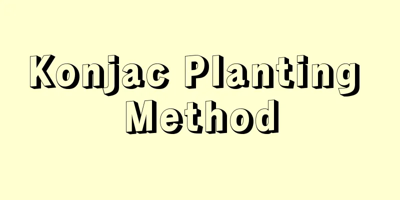 Konjac Planting Method