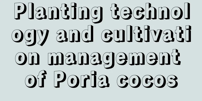 Planting technology and cultivation management of Poria cocos