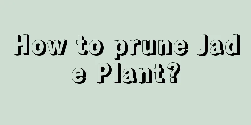 How to prune Jade Plant?