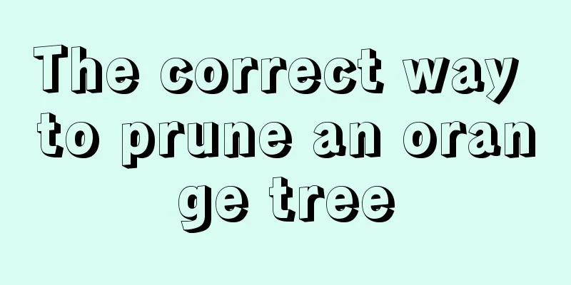 The correct way to prune an orange tree