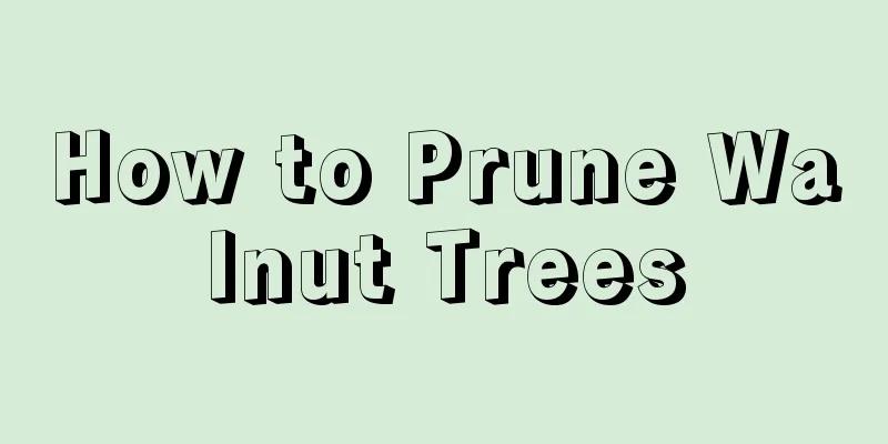 How to Prune Walnut Trees