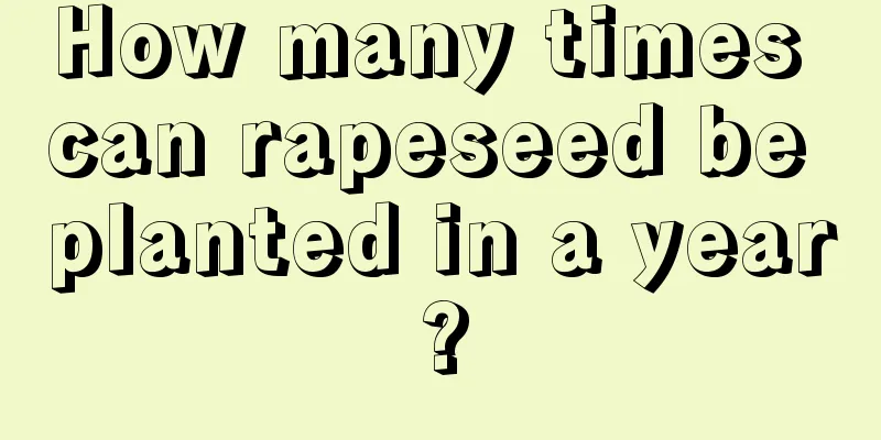 How many times can rapeseed be planted in a year?