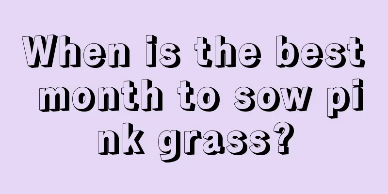 When is the best month to sow pink grass?