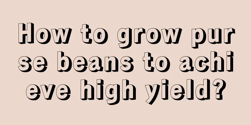 How to grow purse beans to achieve high yield?