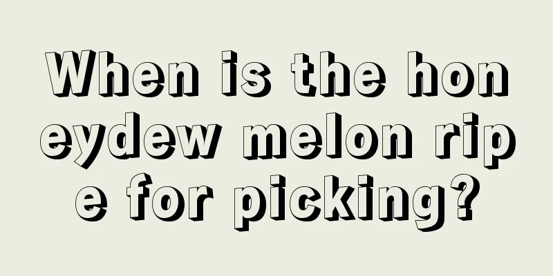 When is the honeydew melon ripe for picking?