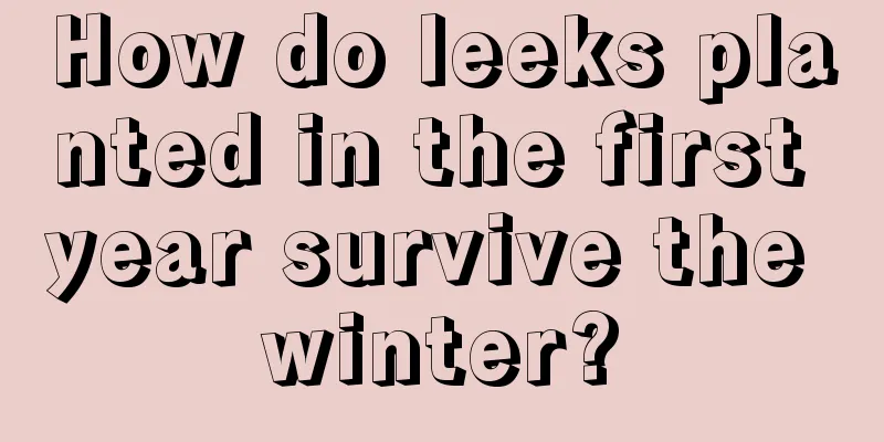 How do leeks planted in the first year survive the winter?