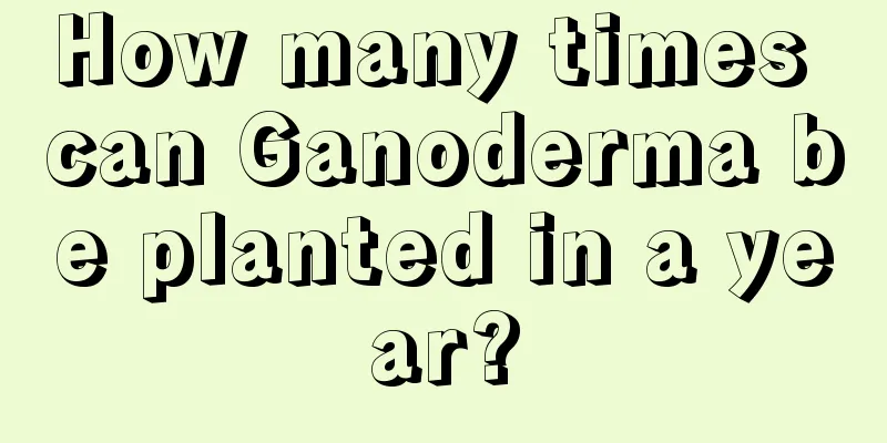 How many times can Ganoderma be planted in a year?