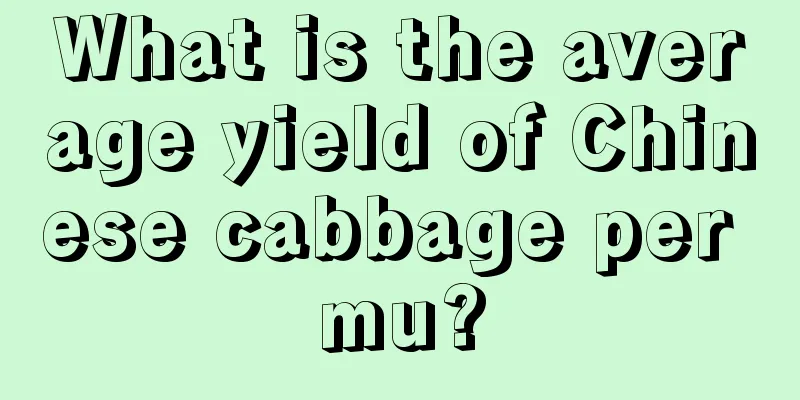 What is the average yield of Chinese cabbage per mu?