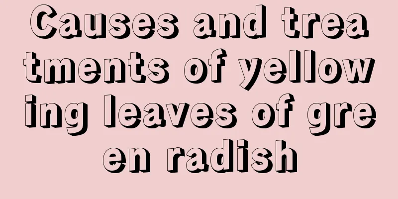 Causes and treatments of yellowing leaves of green radish