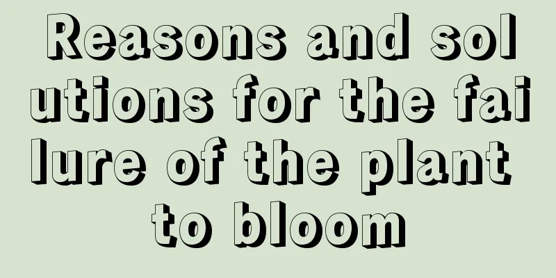 Reasons and solutions for the failure of the plant to bloom