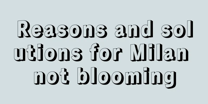 Reasons and solutions for Milan not blooming