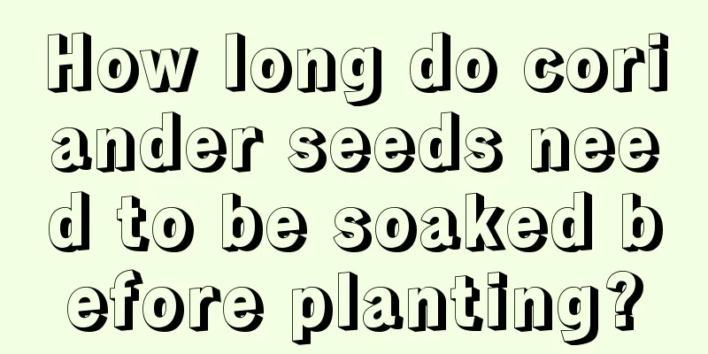 How long do coriander seeds need to be soaked before planting?