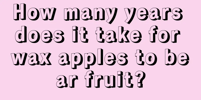 How many years does it take for wax apples to bear fruit?