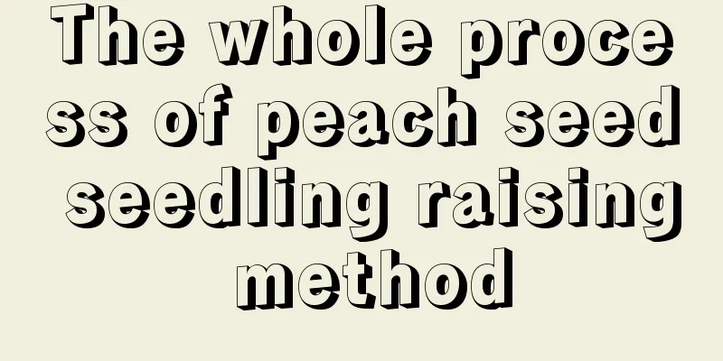 The whole process of peach seed seedling raising method