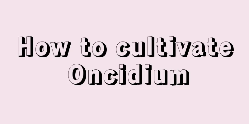 How to cultivate Oncidium