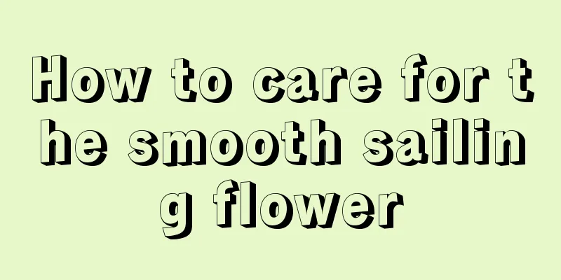 How to care for the smooth sailing flower